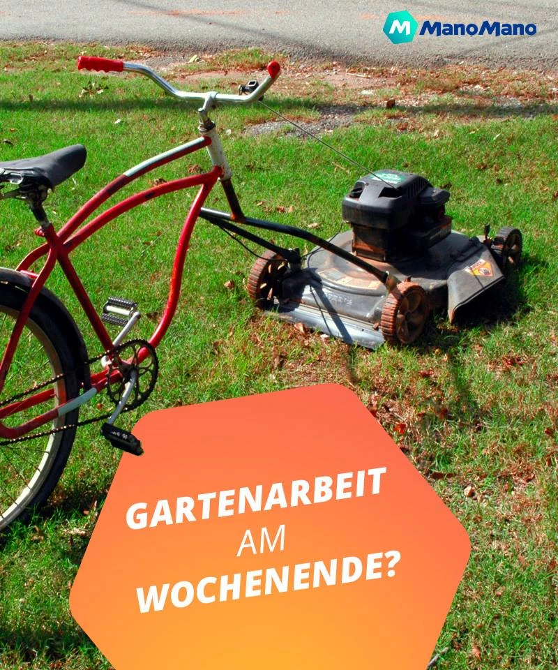 Kettensägen & Zubehör Shop 3 Kettensägen & Zubehör Shop -Kettensägen & Zubehör Shop 53651615 2137809723216221 1638806348734922752 n