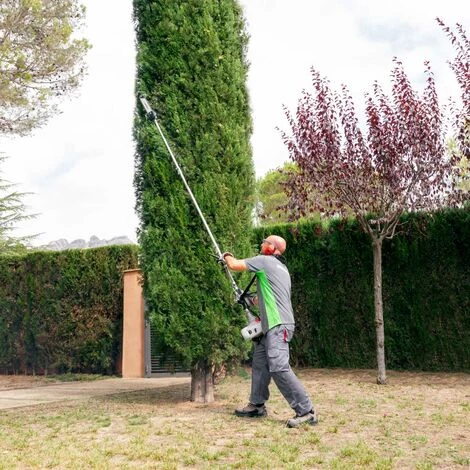 Benzin-Baumschere, Teleskophöhe 65cc, 3 Verlängerungsstangen 5m, 2-Takt-Motor, 12" Klinge - Greencut PP650XA 4 Benzin-Baumschere, Teleskophöhe 65cc, 3 Verlängerungsstangen 5m, 2-Takt-Motor, 12" Klinge - Greencut PP650XA – Bild 4