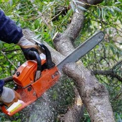 DONTODENT 10 Stück Professioneller Kettensägenschärfer, Kettenschärfset Mit Rundfeile 4,0-4,8 - 5,5 Mm 9 DONTODENT 10 Stück Professioneller Kettensägenschärfer, Kettenschärfset Mit Rundfeile 4,0-4,8 - 5,5 Mm -Kettensägen & Zubehör Shop 65972356 5