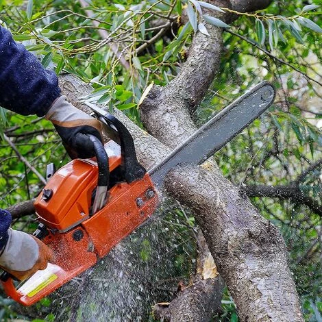 DONTODENT 10 Stück Professioneller Kettensägenschärfer, Kettenschärfset Mit Rundfeile 4,0-4,8 - 5,5 Mm 5 DONTODENT 10 Stück Professioneller Kettensägenschärfer, Kettenschärfset Mit Rundfeile 4,0-4,8 - 5,5 Mm – Bild 5